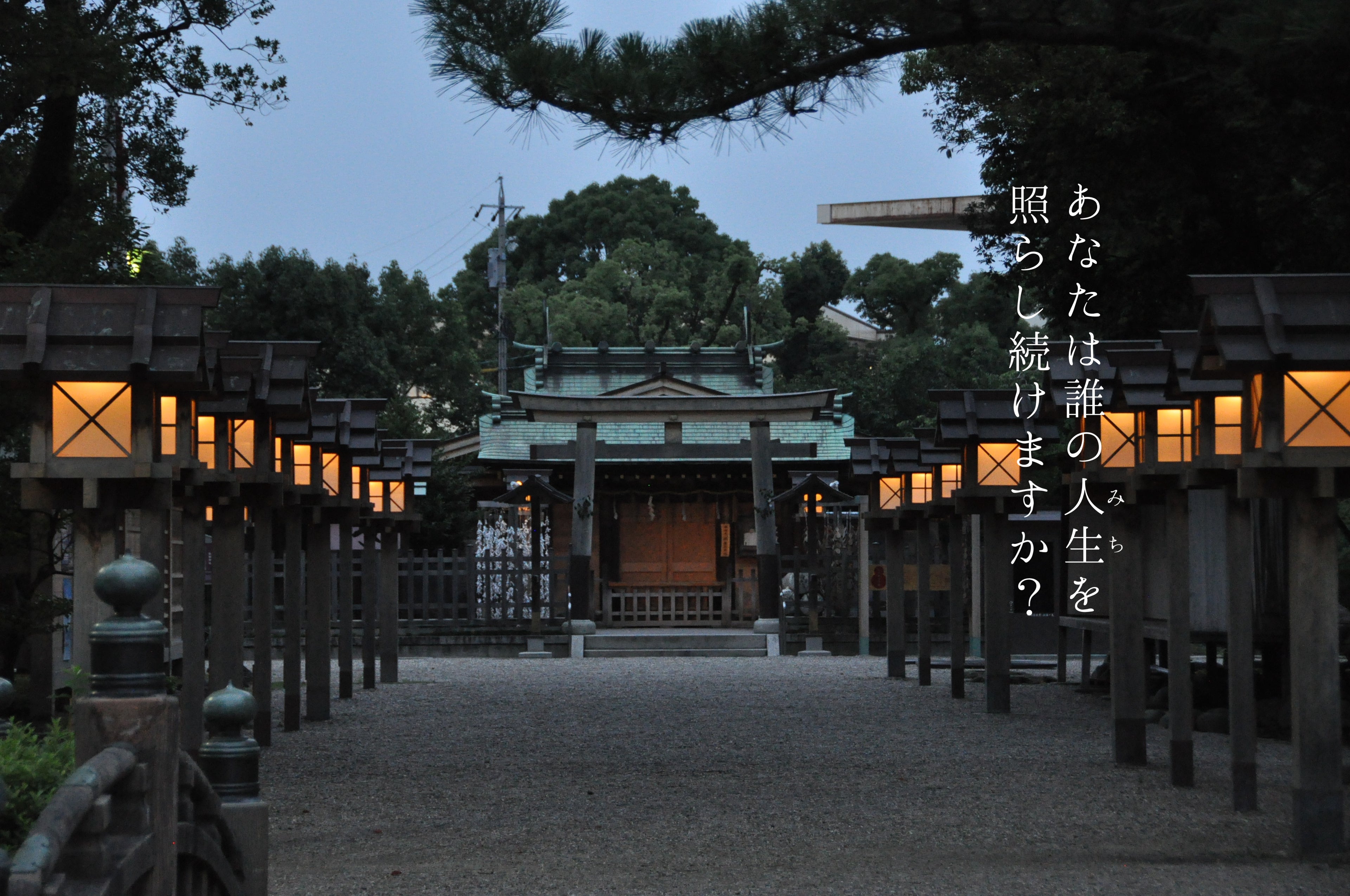 動画を読み込む: 